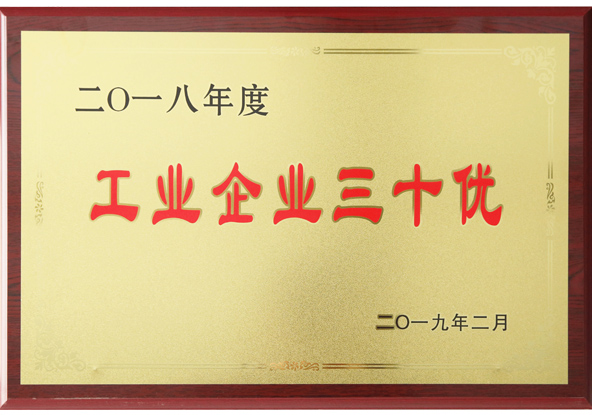 2018年度市工業(yè)企業(yè)三十優(yōu)企業(yè)